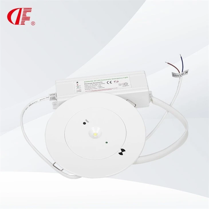 SAA LED Emergency Downlights 3W Australia Escape Route Downlights