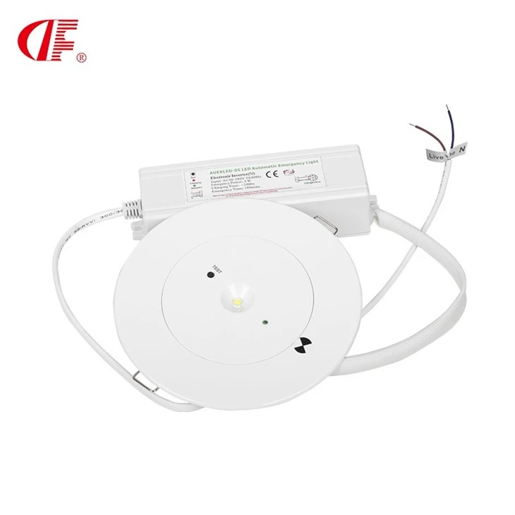 SAA LED Emergency Downlights 3W Australia Escape Route Downlights