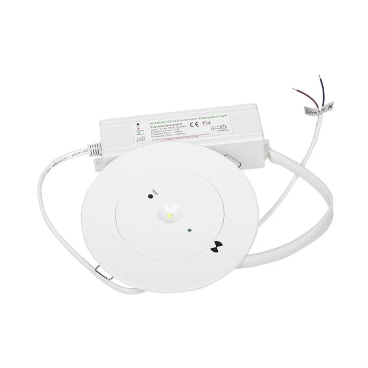 SAA LED Emergency Downlights 3W Australia Escape Route Downlights
